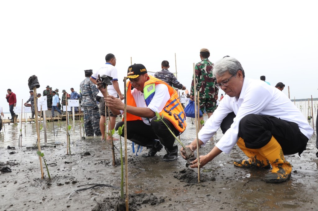 Upaya Kurangi Abrasi, Pj Bupati Brebes Dampingi Dirjen KSDAE Tanam Mangrove
