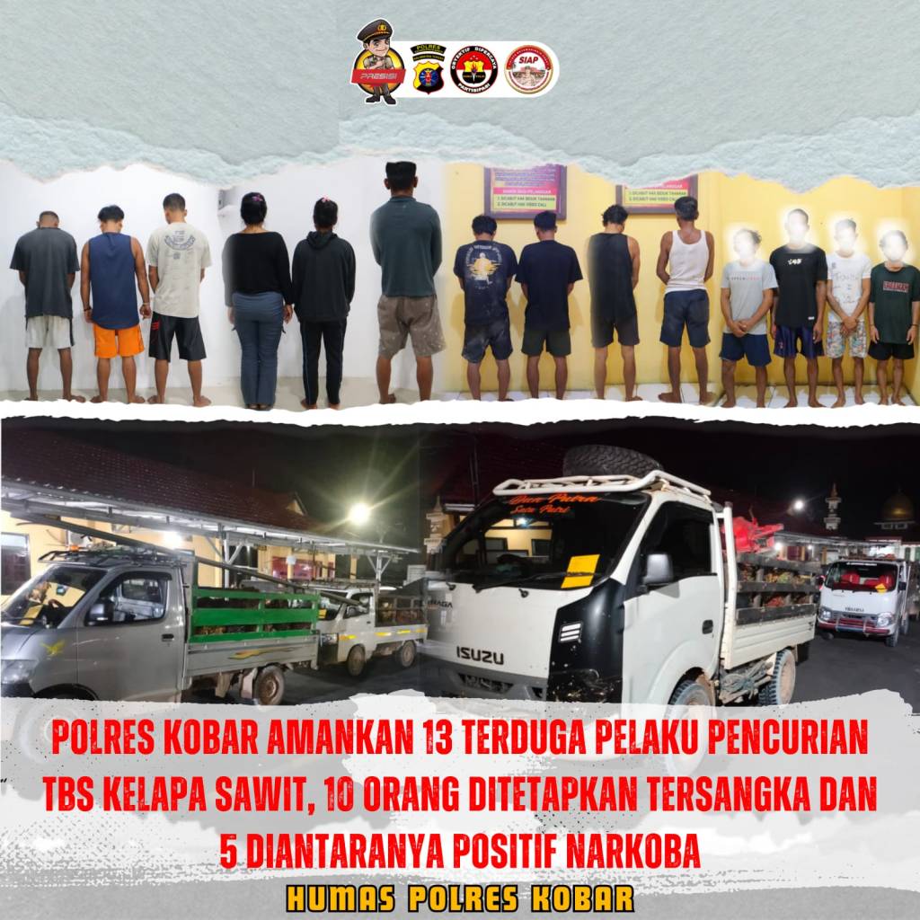 Polres Kobar Amankan 13 Orang Terduga Pelaku Pencurian TBS Kelapa Sawit,10 Orang Ditetapkan Tersangka 5 Diantaranya Positif&nbsp;Narkoba